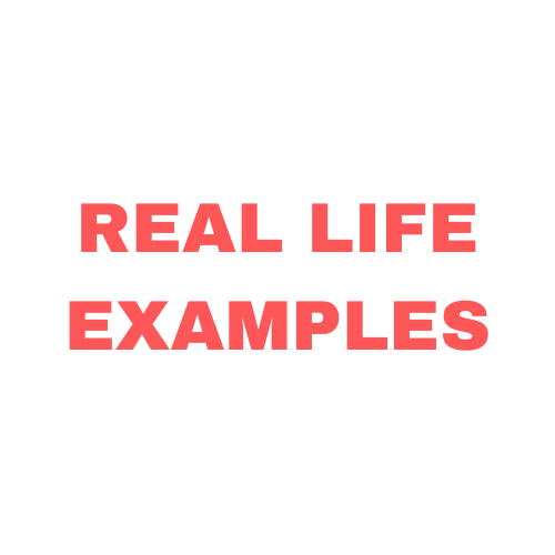 Portfolio-title
