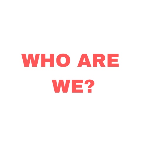 Portfolio-title