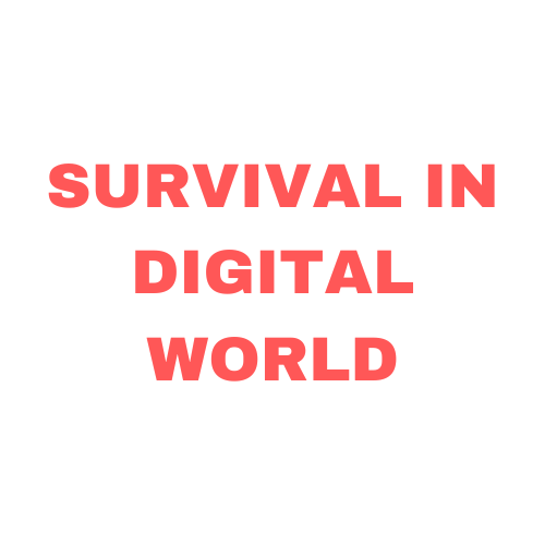 Portfolio-title